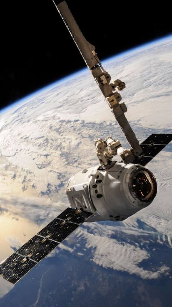 स्पेस से सुरक्षित लौट आया था कुत्तों का ये जोड़ा