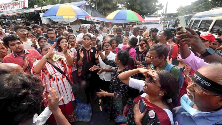 Kolkata Rape-Murder: 'Maha Ashtami' Festivities Overshadowed By Protesting Doctors' Hunger Strike, Mega Rally