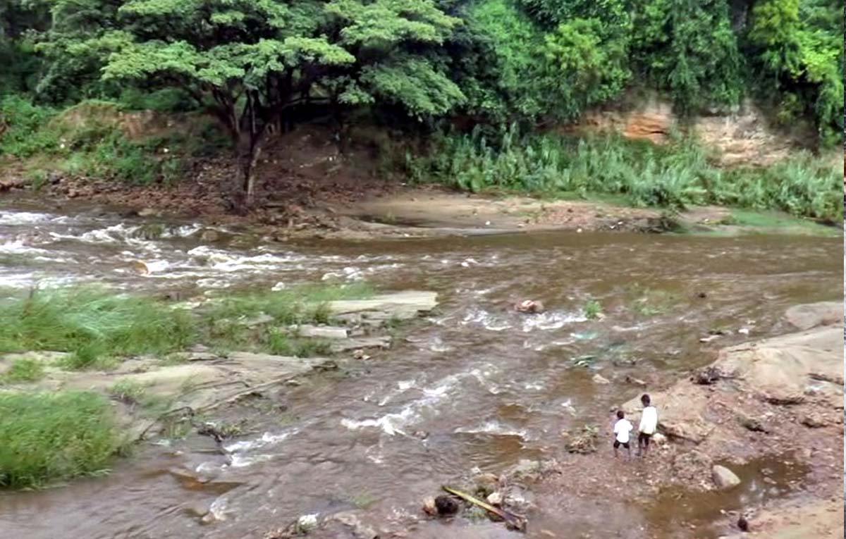 தேனியில் கொட்டும் வடகிழக்கு பருவ மழை.. கும்பக்கரை அருவி, கொட்டக்குடி ஆற்றில் வெள்ளப்பெருக்கு