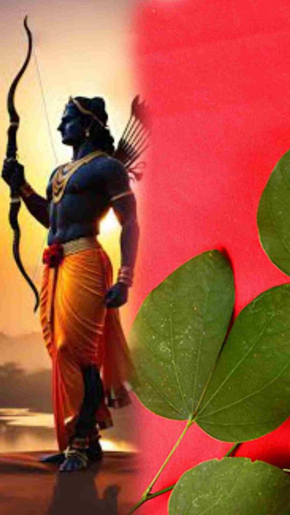 दसऱ्याला आपट्याची पानं  का देतात ?