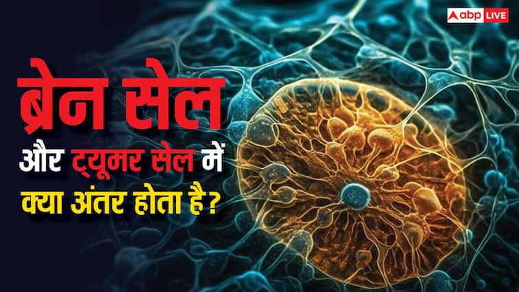 What is the difference between a brain cell and a tumor cell? Know when it becomes cancer