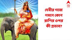 গজে কৈলাসে ফিরছেন 'মা', কোন রাশির ভাগ্যে কী পরিণাম?