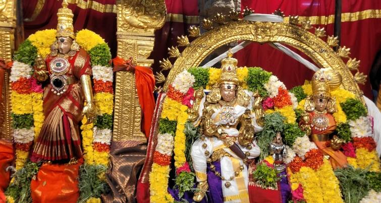 Madurai meenakshi amman Ambal got up and blessed the devotees in braided attire சடை அலம்புதல் அலங்காரத்தில் பக்தர்களுக்கு அருள்பலித்த மதுரை மீனாட்சியம்மன் அம்பாள்!