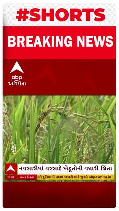 Navsari Farmers | નવસારીમાં વરસાદ બાદ ડાંગર પકવતા ખેડૂતોની ચિંતા વધારી