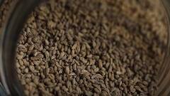 Ajwain: செரிமான மண்டலத்தின் ஆரோக்கியத்தை மேம்படுத்தும் ஓமம்!