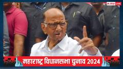 'मुख्यमंत्री माझी लाडकी बहिन योजना धोखा', विधानसभा चुनाव को लेकर भी शरद पवार का बड़ा दावा