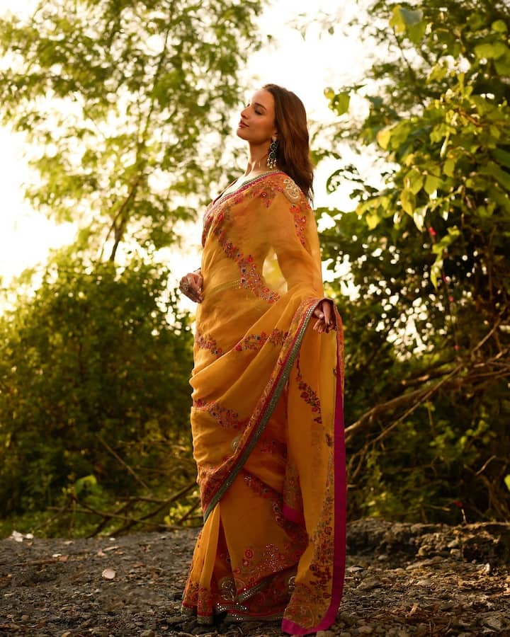 Bhool Bhulaiyaa 3 Actress Triptii Dimri Looks Ethereal In A Yellow Saree Check Out Her Latest Photos