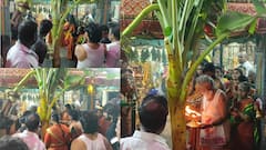 வாழை மரத்தை வைத்து நடந்த நூதன திருவிழா பற்றி தெரியுமா? களைக்கட்டிய காஞ்சிபுரம் கோயில்கள்..