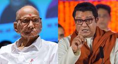 शरद पवार म्हणतात आमचा पक्ष फोडला, मग तुम्ही आयुष्यभर काय केलं? राज ठाकरेंची घणाघाती टीका 