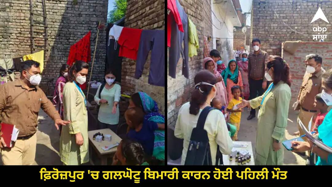 ਫ਼ਿਰੋਜ਼ਪੁਰ 'ਚ ਗਲਘੋਟੂ ਬਿਮਾਰੀ ਕਾਰਨ ਹੋਈ ਪਹਿਲੀ ਮੌਤ, WHO ਦੀ ਪਹੁੰਚੀ ਟੀਮ, 8 ਟੀਮਾਂ ਸਰਵੇ 'ਚ ਜੁਟੀਆਂ, 200 ਘਰਾਂ 'ਚ ਜਾਂਚ First death due to diphtheria in Ferozepur WHO team arrived ਫ਼ਿਰੋਜ਼ਪੁਰ 'ਚ ਗਲਘੋਟੂ ਬਿਮਾਰੀ ਕਾਰਨ ਹੋਈ ਪਹਿਲੀ ਮੌਤ, WHO ਦੀ ਪਹੁੰਚੀ ਟੀਮ, 8 ਟੀਮਾਂ ਸਰਵੇ 'ਚ ਜੁਟੀਆਂ, 200 ਘਰਾਂ 'ਚ ਜਾਂਚ