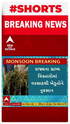 Gujarat Rain Effect | ગુજરાતમાં વરસાદથી ખેડૂતોના પાકને નુકસાન