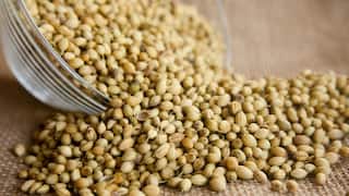 सेहत के लिए वरदान है इस मसाले का पानी, आयुर्वेद में भी गिनाए गए फायदे