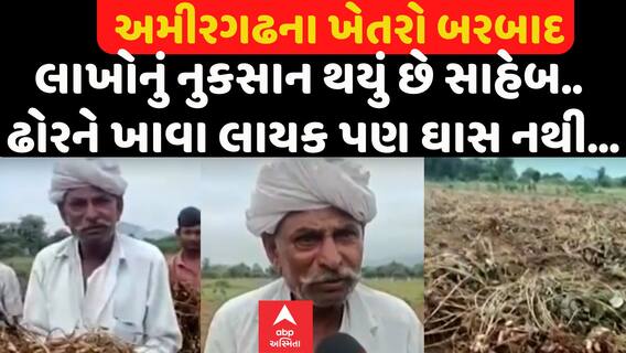 Banaskantha Rain Damage | લાખોનું નુકસાન થયું છે સાહેબ.. ઢોરને ખાવા લાયક પણ ઘાસ નથી...