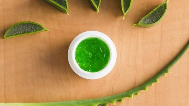 7. Aloe Vera: Aloe vera is a natural moisturizer that soothes and hydrates the skin. It reduces inflammation and supports skin regeneration. Its antibacterial properties make it effective in treating acne. (Image Source: Pinterest/freepik)