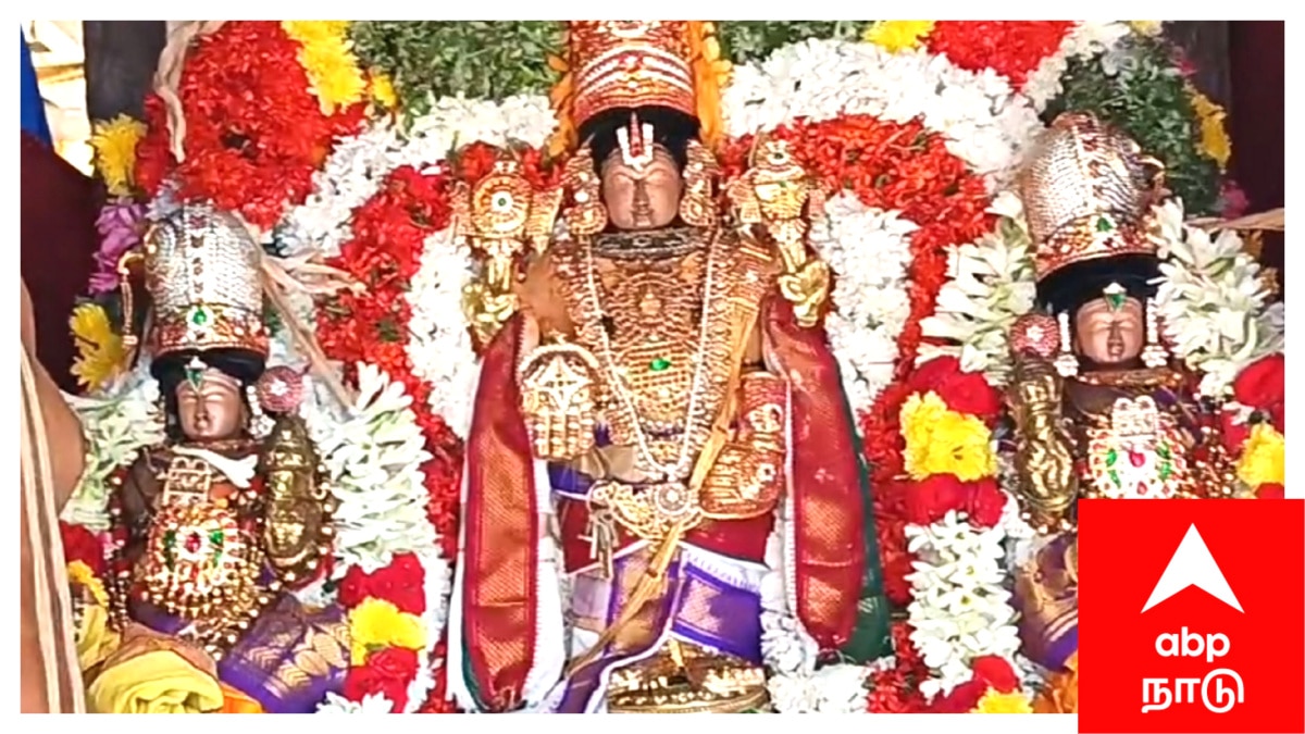 பக்தர்களுக்கு திருத்தேரில் காட்சி அளித்த தென் திருப்பதி திருவெள்ளக்குளம் அண்ணன் பெருமாள்