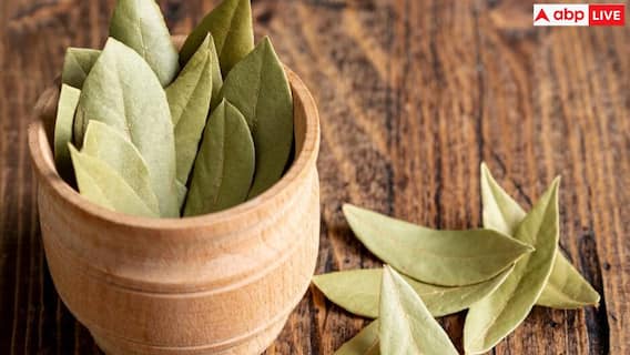 Uric Acid: बढ़ा हुआ है यूरिक एसिड तो तेज पत्ते का ऐसे करें इस्तेमाल, यूरेट क्रिस्टल टॉयलेट के जरिए हो जाएगा फ्लश आउट