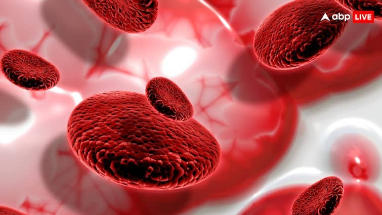 You may not know these things about blood cancer, you will definitely be shocked.