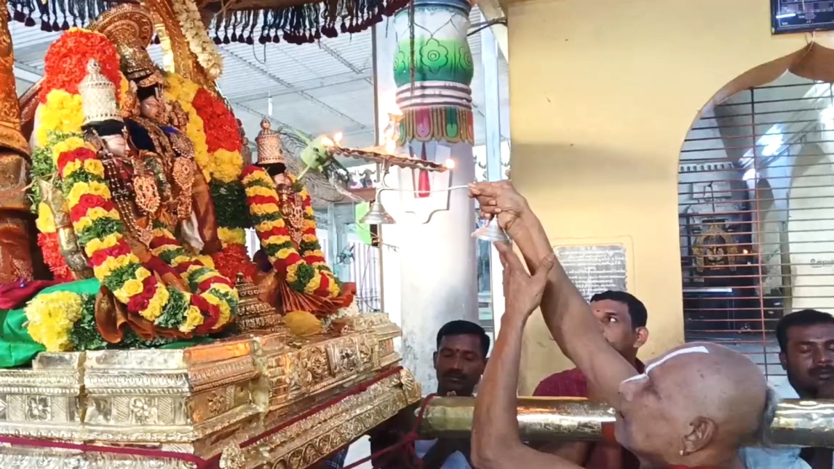 பக்தர்களுக்கு திருத்தேரில் காட்சி அளித்த தென் திருப்பதி திருவெள்ளக்குளம் அண்ணன் பெருமாள்