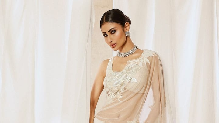 Mouni Roy is known for her love of sarees, flaunting a diverse collection from Banarasi to organza and georgette styles.