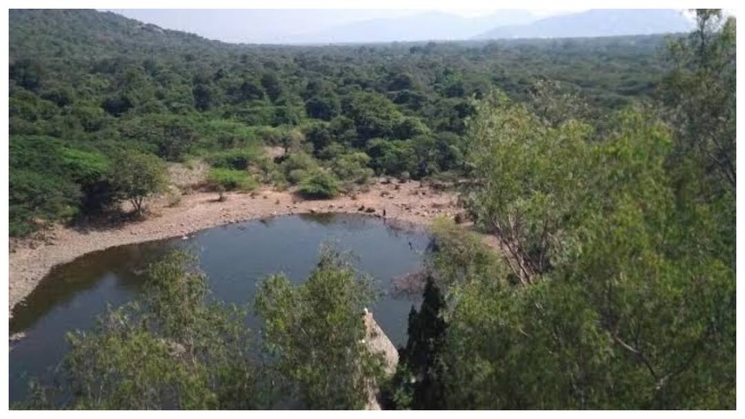 heavy rains in Chittoor district due to cyclone effect but water storage action not taken Chittoor News: తుపాను ప్రభావంతో చిత్తూరు జిల్లాలో జోరు వానలు- నీరు ఒడిసి పట్టే చర్యలే శూన్యం