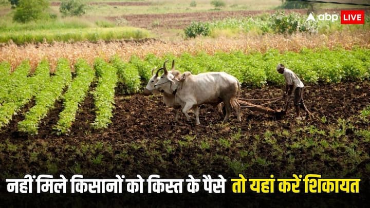 PM Kisan Yojana Complaint: कई किसानों को ई-केवाईसी और भू सत्यापन के बाद भी किस्त के पैसे नहीं मिले हैं. ऐसे किसान यहां कर सकते हैं अपनी शिकायत दर्ज.