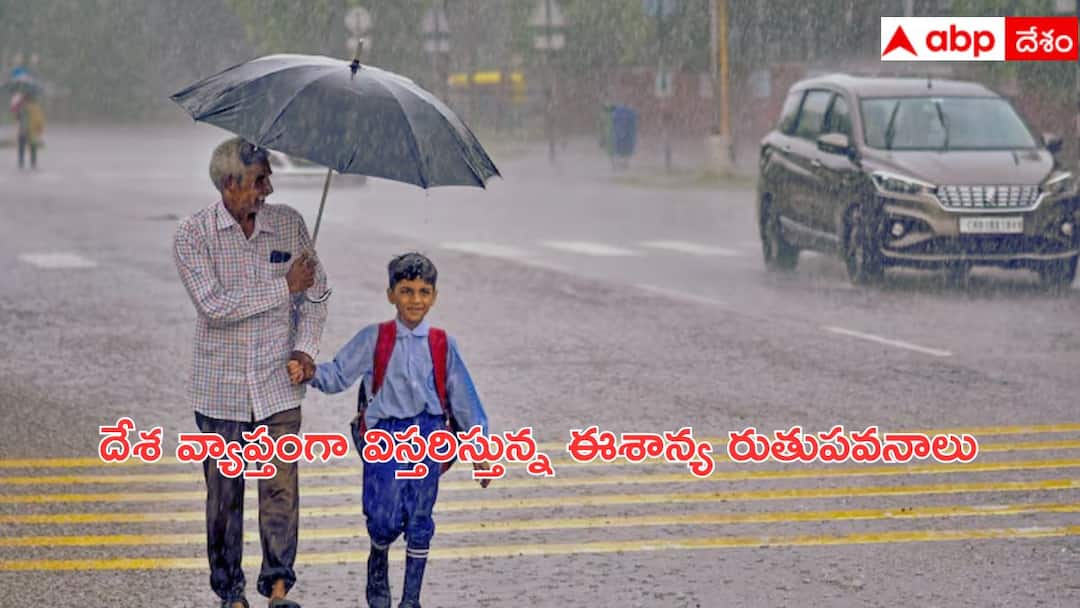 Rains in AP Telagana: తీవ్ర అల్పపీడనం ఎఫెక్ట్ - ఏపీలో 3 జిల్లాలకు ఆరెంజ్ అలర్ట్, తెలంగాణలో పలు జిల్లాల్లో వర్షాలు Weather Today Rains in AP and Telangana IMD issues orange alert and yellow alert Rains in AP Telagana: తీవ్ర అల్పపీడనం ఎఫెక్ట్ - ఏపీలో 3 జిల్లాలకు ఆరెంజ్ అలర్ట్, తెలంగాణలో పలు జిల్లాల్లో వర్షాలు