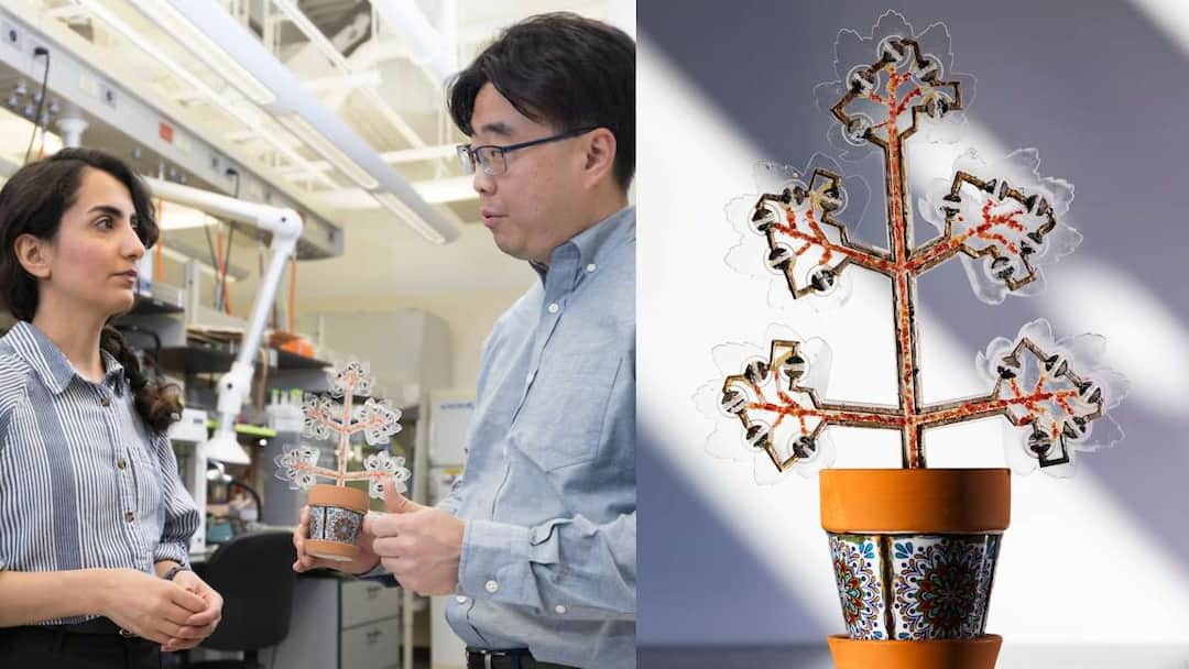 Smartphone चार्ज कर सकता है ये पौधा! हवा को भी करता है साफ, वैज्ञानिकों ने कहा- 'बड़ी उपलब्धी' Scientists develop artificial plant that gives oxygen and also help to charge smartphone check more details Smartphone चार्ज कर सकता है ये पौधा! हवा को भी करता है साफ, वैज्ञानिकों ने कहा- 'बड़ी उपलब्धी'