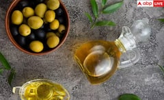 Olive Oil: ਜੈਤੂਨ ਦਾ ਤੇਲ ਦੁੱਧ ਜਿੰਨਾ ਸਰੀਰ ਨੂੰ ਦਿੰਦਾ ਪੋਸ਼ਣ, ਜਾਣ ਲਓ ਇਸ ਦੇ ਫਾਇਦੇ