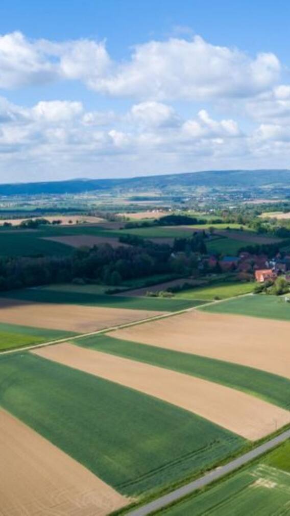 नोएडा एयरपोर्ट के पास सस्ते में घर बनाने का शानदार मौका, पूरे होंगे सपने