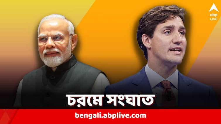 ‘অপরাধমূলক কাজে বিশ্নোই গ্যাং-কে ব্যবহার করছে ভারত সরকারই’, মারাত্মক অভিযোগ কানাডার