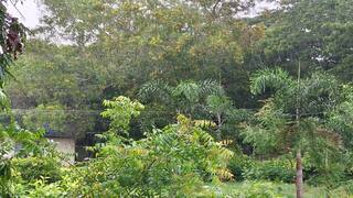 TN Rain: அடித்து வெளுக்கும் கனமழை.. திணறும் விழுப்புரம் மாவட்டம்: சமாளிக்குமா மாவட்ட நிர்வாகம்?