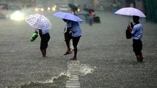 Chennai Rains: மஞ்சள், ஆரஞ்ச் மற்றும் ரெட் அலர்ட் என்றால் என்ன? வானிலை மையம் அப்படி சொல்வது ஏன்?