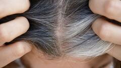 Grey Hair Prevention Tips : తెల్లజుట్టు రాకుండా తీసుకోవాల్సిన జాగ్రత్తలు.. వస్తే ఫాలో అవ్వాల్సిన టిప్స్