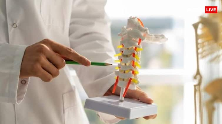 Life will not be ruined by spinal cord injury, a new path opened for patients