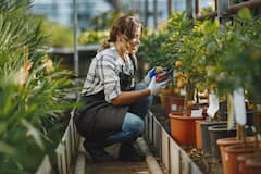 गमलों में फल-सब्जियां उगाएं, सरकार से पाएं इतने रुपये, बेहद खास है ये योजना