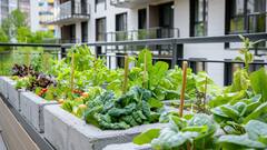 गमलों में फल-सब्जियां उगाएं, सरकार से पाएं इतने रुपये, बेहद खास है ये योजना