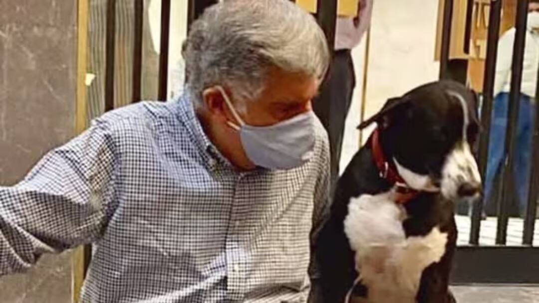 Is Ratan Tata Dog Goa Dead Mumbai Police Clarifies The Ongoing WhatsApp Message Is Ratan Tata's Dog 'Goa' Dead? Mumbai Police Officer Clarifies Rumour