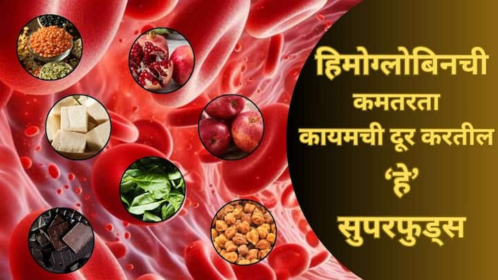 Hemoglobin Superfood: अनेक स्त्रियांमध्ये आयर्नची कमतरता आढळते. पण कधीकधी पुरुषांना देखील या समस्येचा सामना करावा लागतो. शरीरात लोहाच्या कमतरतेमुळे अनेक गंभीर समस्यांचा सामना करावा लागतो.