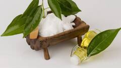 Effective Ways To Use Camphor For Health, Home, And Well-Being