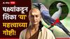 Chanakya Niti : पक्ष्यांसारखी उंच भरारी घ्या; बगळा, कावळा, कोंबड्याकडून शिका 'या' महत्त्वाच्या गोष्टी, चाणक्य सांगतात...