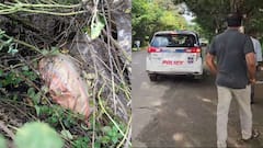 వివాహిత మీద కన్నేసి చివరికి దారుణం, బాలిక హత్య కేసు ఛేదించిన సూరారం పోలీసులు