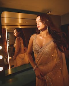 Triptii Dimri : 'పుష్ప 2' స్పెషల్ సాంగ్ బ్యూటీ లేటెస్ట్ పిక్స్ - స్కిన్ కలర్ శారీలో మెరిసిపోతున్న త్రిప్తి దిమ్రి!