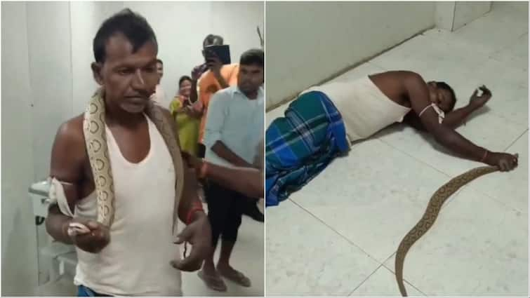 Bihar Man Will get Bitten By Venomous Snake, Arrives At Hospital With The Reptile: WATCH