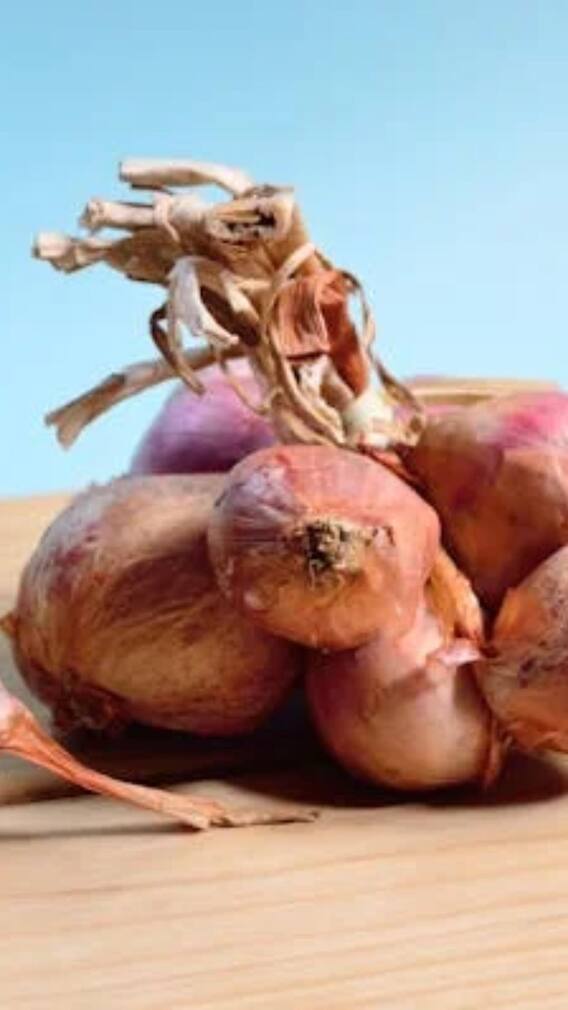 परमाणु बम के परीक्षण से पहले क्यों मंगाए जाते हैं लाखों टन प्याज?