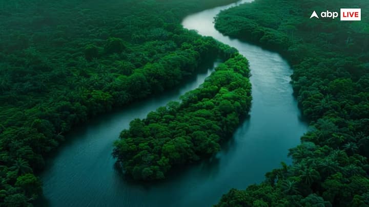 हिमालय का इतिहास 50 मिलियन साल से भी ज्यादा पुराना है, लेकिन आपको जानकर हैरानी होगी कि हमारे देश में बहने वाली कुछ नदियां ऐसी हैं जो इससे भी ज्यादा पुरानी हैं.