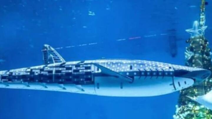 स्थानीय मीडिया के अनुसार, अक्टूबर के पहले सप्ताह में सात दिन के राष्ट्रीय अवकाश के दौरान 1,00,000 से अधिक लोगों ने पार्क का दौरा किया था.