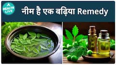 How Neem Helps Fight Against Dengue Mosquitoes: A Natural Solution To A Growing Problem | Health Live