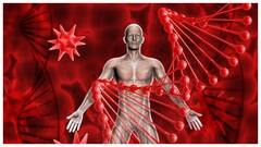 टॉनिक, गोळ्या खाणं सोडून द्या; आता फक्त 'हे' पदार्थ खा, कधीच कमी होणार नाही हिमोग्लोबिन!