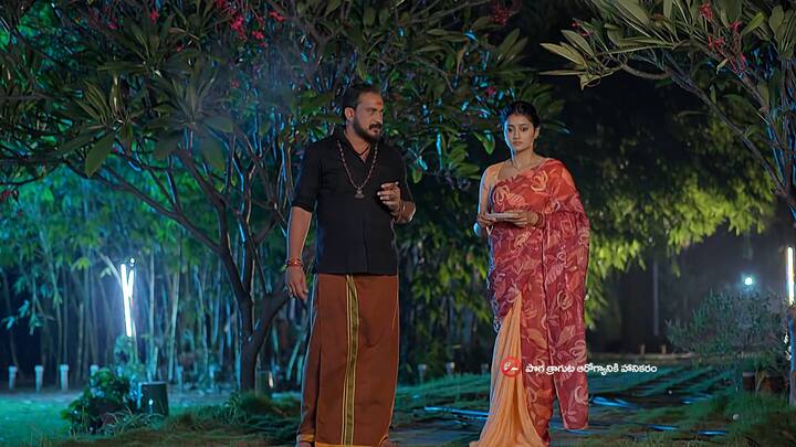 మహదేవయ్య ఆలోచిస్తుంటే..స్వీట్స్ తీసుకొచ్చి ఇస్తుంది సత్య. మహదేవయ్య అంటే మహావృక్షం..అదో గెలుపు అని పొంగిపోతున్నావా నేను ఆయుధాలు అమెరికా నుంచి తీసుకురాలేదు..లోకల్ నుంచే తెప్పించా.. తెల్లారేసరికి వాటికి డబుల్ తెప్పిస్తానంటాడు