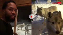 घूमने गए कपल को आधी रात 10 भेड़ियो ने घेरा, इसके बाद जो हुआ खौफनाक वीडियो देख कांप उठेंगे आप